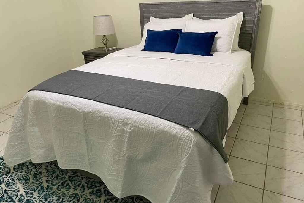 Beautiful Caribbean 3 Bedroom Home In St. Croix クリスチャンステッド エクステリア 写真